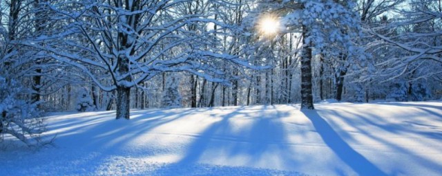 下雪天打雷是什么征兆 下雪天打雷的说法