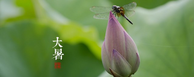 大暑节气的风俗饮食 大暑节气有什么风俗