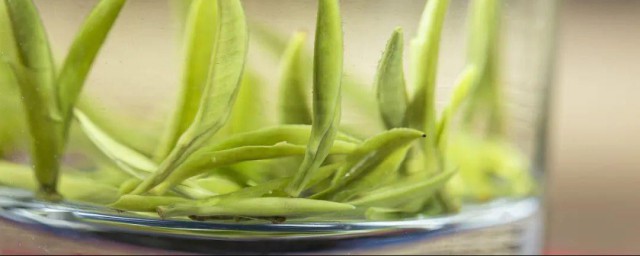 茶叶茶怎样泡 泡茶叶茶要领