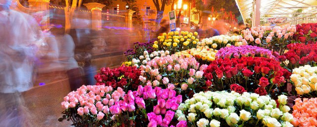 雨水浇花怎么储存 雨水浇花可以存放多久