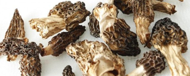 羊肚菌夏天怎样储存 羊肚菌夏天储存方法