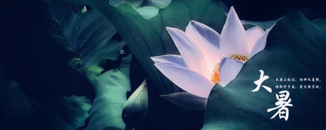 大暑节气简介 大暑节气适合喝什么粥