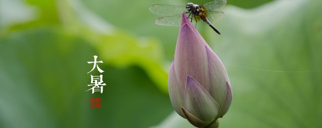 大暑节气美食 大暑节气有哪些美食