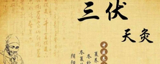 头伏如何调理 头伏怎么养生