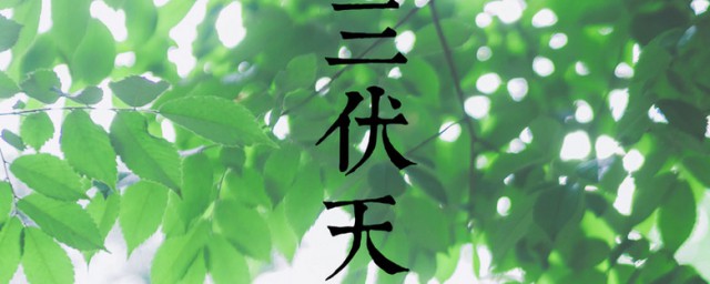 三伏天怎样排湿气 三伏天如何排湿气