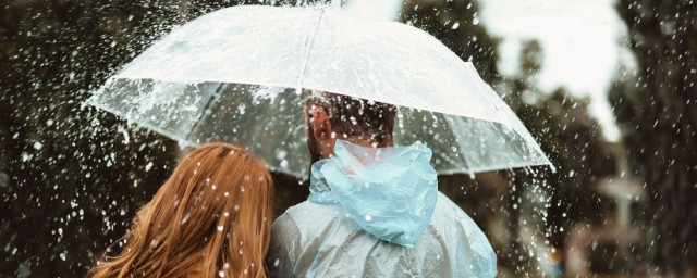 春雨点点的意思 春雨点点是什么意思