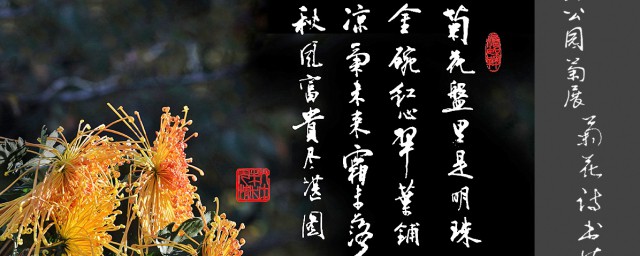 诗是什么 诗的作用是什么