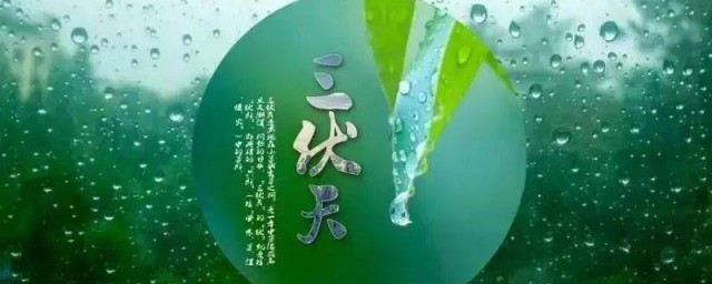 三伏天吃什么去寒湿 适合三伏天吃的食物简介