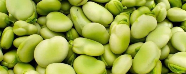蚕豆怎样储存 蚕豆如何储存好呢