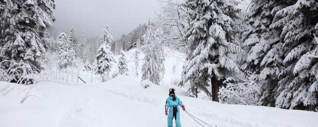 关于雪的句子伤感 雪的句子有哪些