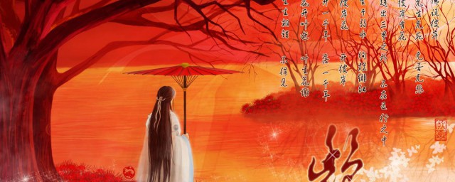 耽美文是什么意思 耽美文介绍