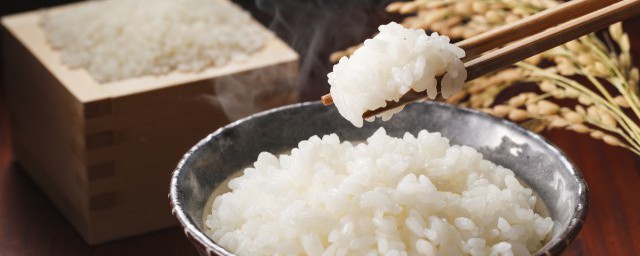 一个人煮干饭要如何煮 一个人煮干饭要怎么煮