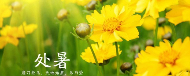 2023年处暑是哪天 处暑节气简介