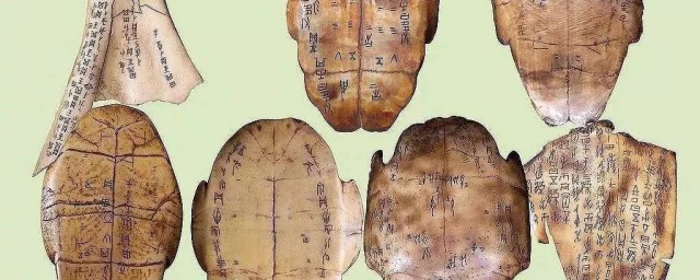 甲骨文写在什么上面 甲骨文写在哪里