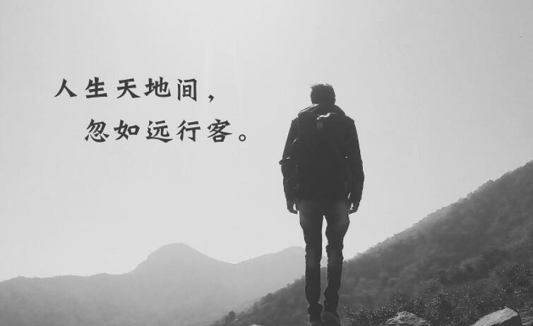 忽如远行客上一句是什么