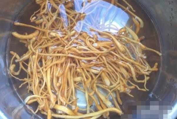虫草花炒肉的步骤是什么