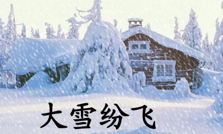 描写大雪纷飞的句子有哪些