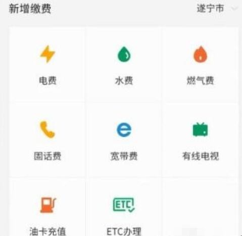 如何查燃气费使用明细