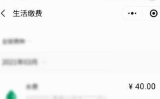 如何查燃气费使用明细
