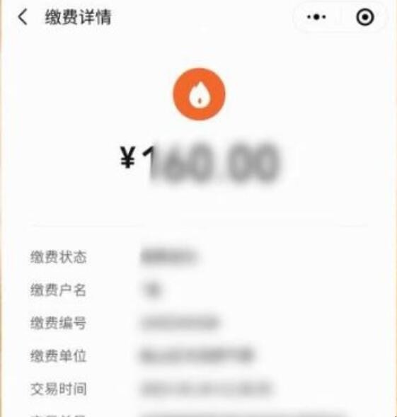 如何查燃气费使用明细