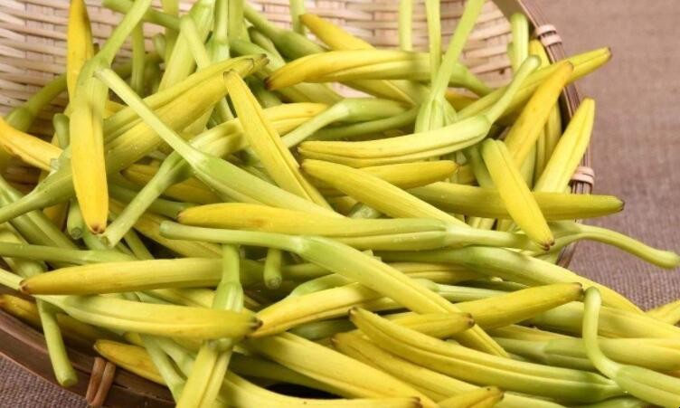 黄花菜什么人不能吃