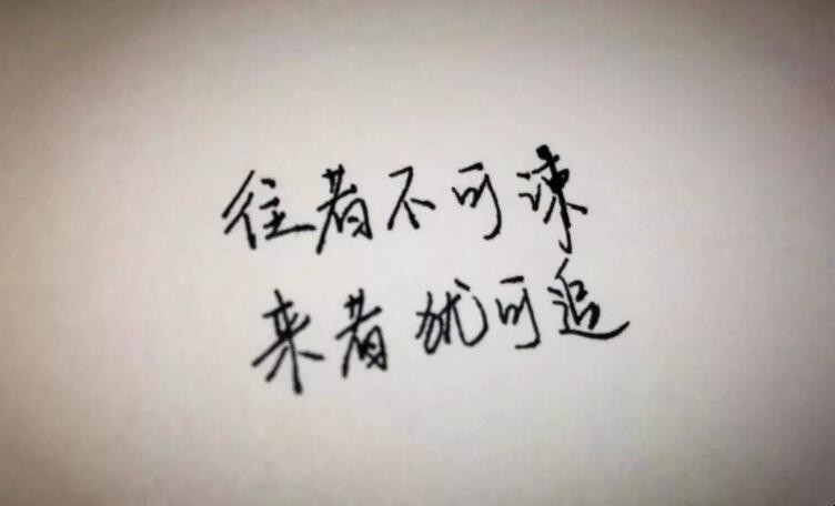 往事不可谏来者犹可追什么意思