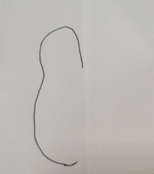 喜鹊简笔画怎么画