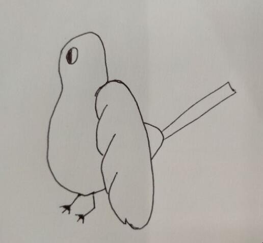 喜鹊简笔画怎么画