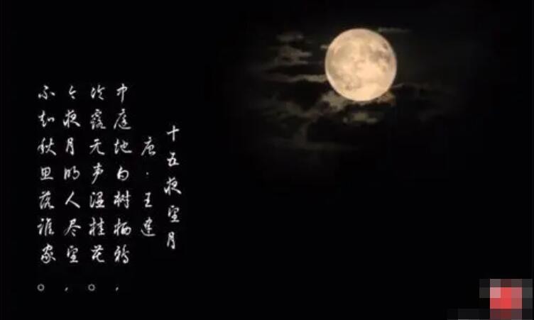 今夜月明人尽望的意思是什么