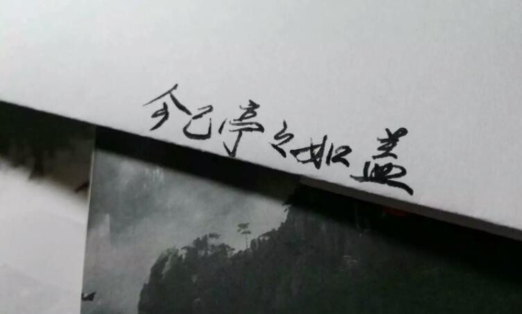 今已亭亭如盖矣是什么意思