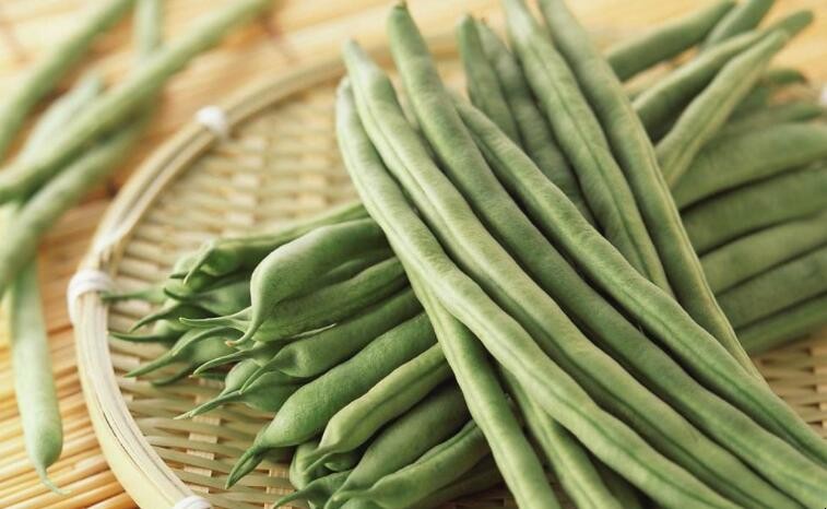 芸豆不熟会中毒吗