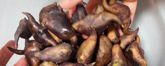 菱角的做法 怎么做菱角好