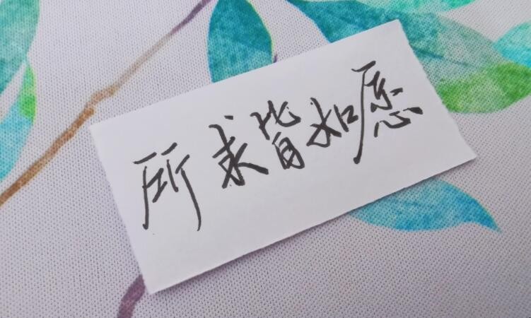所求皆如愿的下一句是什么
