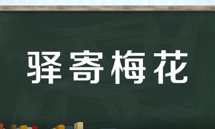 驿寄梅花是什么意思