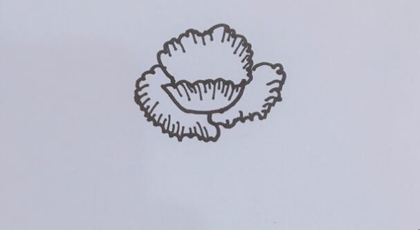 罂粟花简笔画怎么画