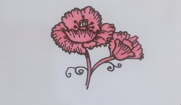 罂粟花简笔画怎么画