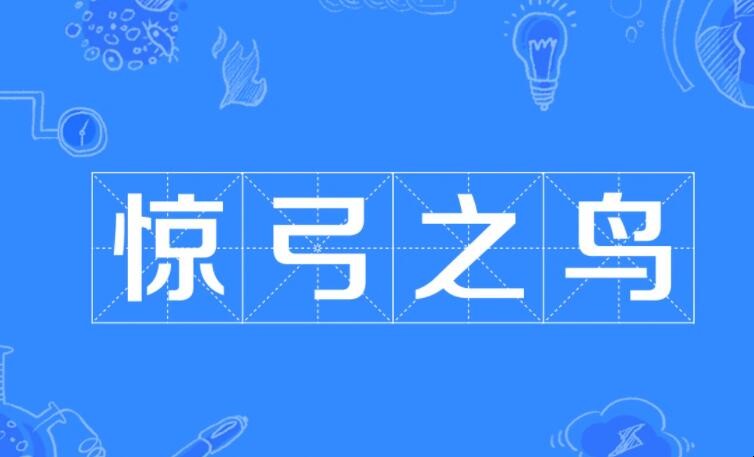 惊弓之鸟的鸟是指什么