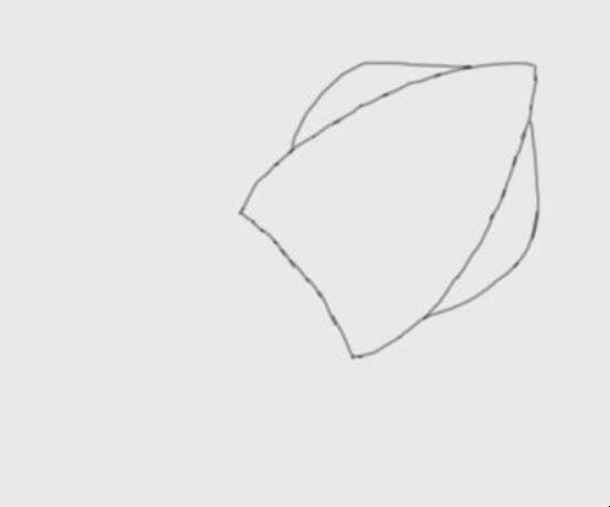 简笔画八爪鱼是怎么画的