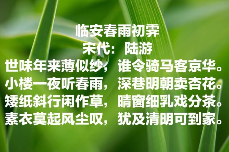 《临安春雨初霁》赏析是什么