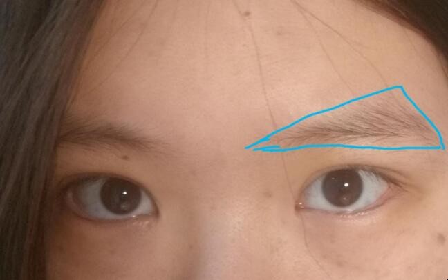 眉有几种眉