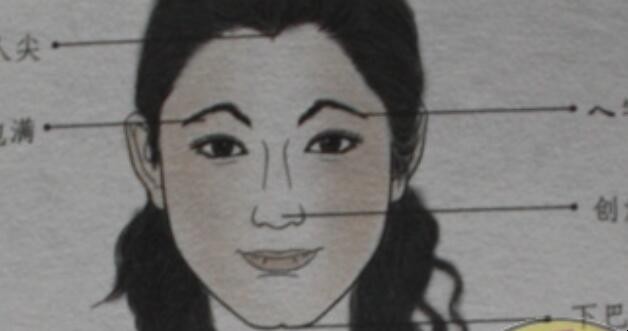 眉有几种眉