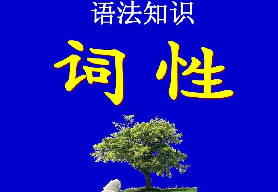 “是” 是什么词性