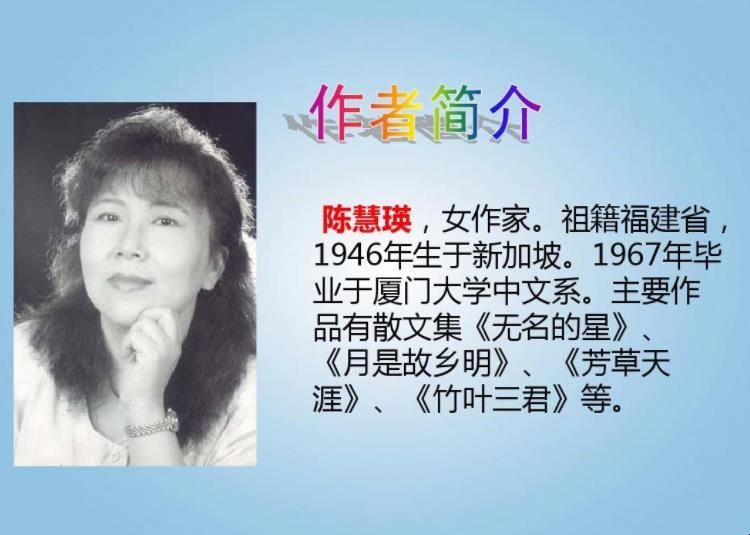 陈慧瑛简介是什么