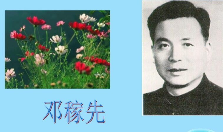 关于邓稼先的作文怎么写