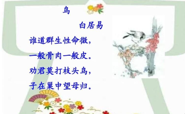 《鸟》的作者是谁
