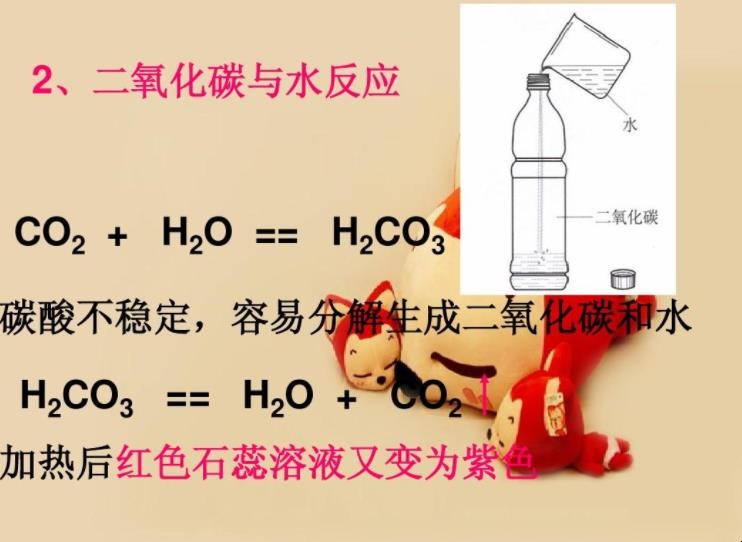 二氧化碳与水反应的现象是什么