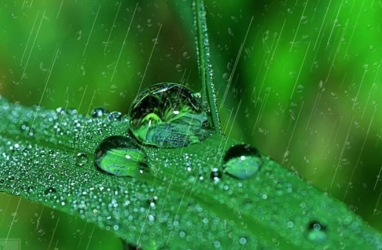 雨一直下的心情说说有哪些