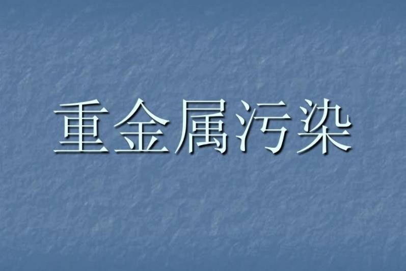 什么是重金属