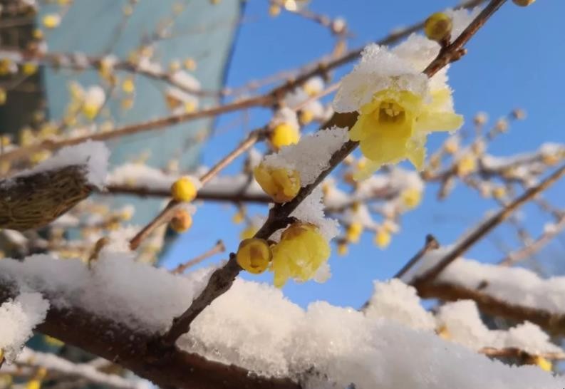 瑞雪兆丰年民间故事是什么