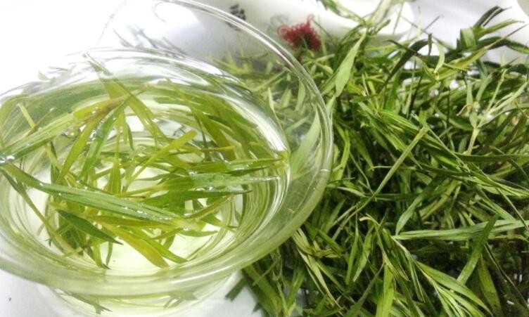 喝竹叶茶的禁忌是什么